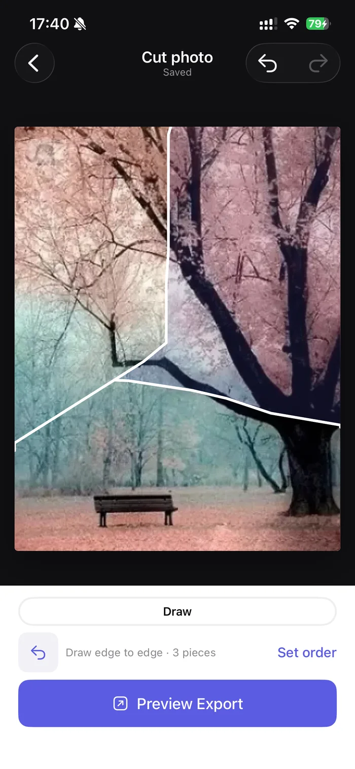 DuoCanvas freeform cut editor with a blossom photograph divided into three custom pieces